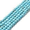Dyed & Heated Natural Magnesite Beads Strands G-G924-01B-04-1