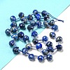 Natural Lapis Lazuli Beads Strands G-H297-B02-02-2