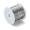 Non-Tarnish 316 Surgical Stainless Steel Wire TWIR-L004-01A-P-2