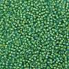 TOHO 8/0 Round Beads SEED-XTR08-0307-2