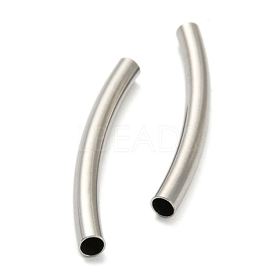 Non-Tarnish 304 Stainless Steel Tube Beads STAS-B047-27L-P-1