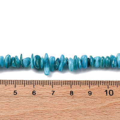 Natural Freshwater Shell Beads Strands BSHE-I016-01A-1