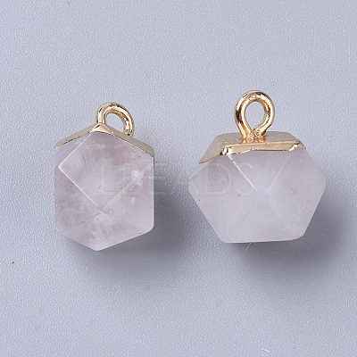 Natural Quartz Crystal Charms X-G-S359-015F-1