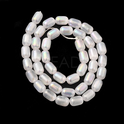 Natural Selenite Beads Strands G-F750-B-20-1