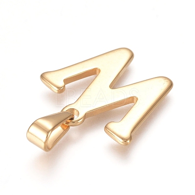 304 Stainless Steel Pendants STAS-F106-95G-W-01-1
