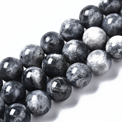 Natural Labradorite Beads Strands G-N328-49D-01-1