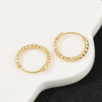 Brass Textured Hoop Earrings EJEW-F378-03B-G-1