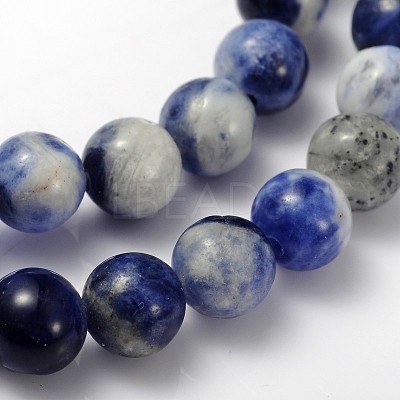 Natural Sodalite Beads Strand GSR12mmC013-1