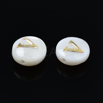 Natural Freshwater Shell Beads SHEL-S278-036V-1