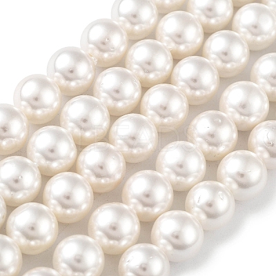 Shell Pearl Bead Strands X-BSHE-L026-03-8mm-1