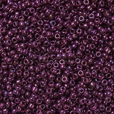 MIYUKI Round Rocailles Beads X-SEED-G007-RR0313-1