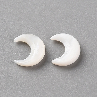 Natural White Shell Beads SSHEL-Q311-004A-02-1