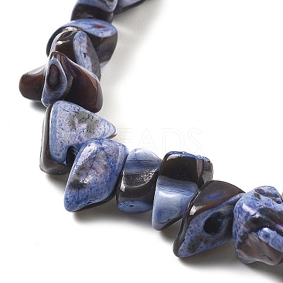 Dyed Natural Trochus Shell Beads Strands BSHE-Z006-01C-1