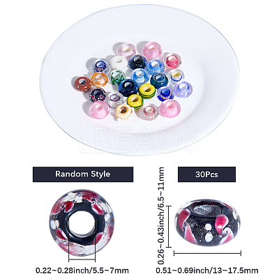30Pcs Handmade Lampwork European Beads LAMP-SC0001-74-1