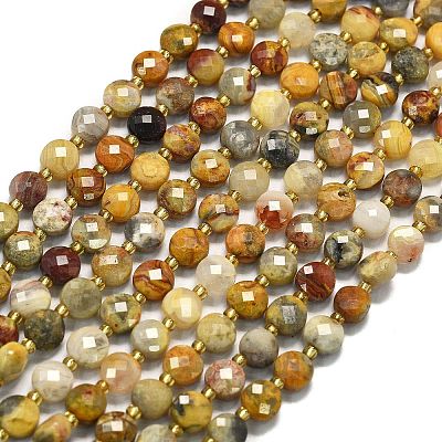 Natural Crazy Agate Beads Strands G-K389-B71-01-1