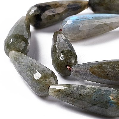 Natural Labradorite Beads Strands G-I328-07-1