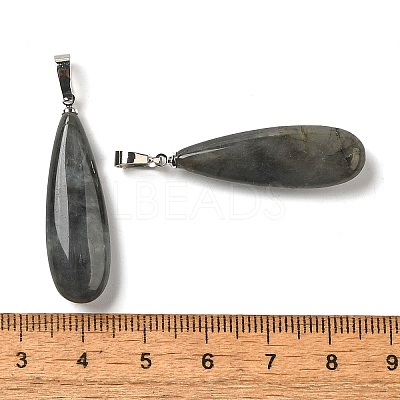 Natural Labradorite Pendants G-Q192-07P-06-1