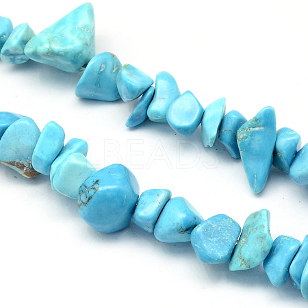 Dyed Synthetic Turquoise Stone Bead Strands G-R192-B24-1