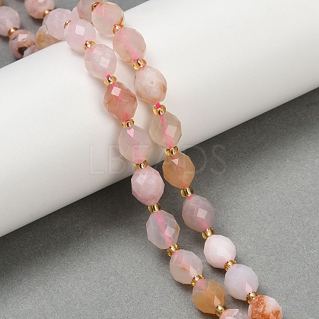 Natural Cherry Blossom Agate Beads Strands G-N342-149D-1