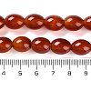 Natural Carnelian Beads Strands G-NH0019-C01-02-5