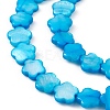 Natural Freshwater Shell Dyed Beads Strands SHEL-K001-001F-3