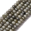 Natural Labradorite Beads Strands G-P587-D13-02-2