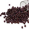 TOHO 6/0 Round Beads SEED-XTR06-0502-1