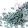 TOHO Round Seed Beads SEED-JPTR08-1207-1