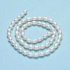 Natural Cultured Freshwater Pearl Beads Strands PEAR-J006-13C-01-3