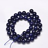 Dyed Natural Lapis Lazuli Round Beads Strands G-M169-4mm-05-3