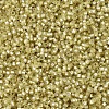 MIYUKI Delica Beads X-SEED-J020-DB0687-3