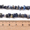 Natural Sodalite Chips Beads Strands F024-7