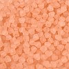 FGB Frosted Transparent Glass Seed Beads SEED-N013-03A-04-3