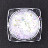 Holographic Chunky Glitter Nail Art Pigment Dust MRMJ-S015-009A-2