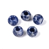 Natural Blue Spot Jasper European Beads G-Q602-09A-09-1