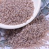 MIYUKI Round Rocailles Beads X-SEED-G007-RR0579-1