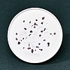 Twelve Constellations Plaster Coaster PW-WG28707-08-1