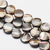 Dyed Natural Sea Shell Flat Round Bead Strands SSHEL-M015-01-8mm-1