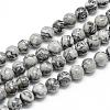 Natural Map Stone/Picasso Stone/Picasso Jasper Beads Strands G-T053-10mm-04-1