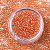 Glass Seed Beads SEED-S042-11A-03-2