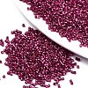 FGB 11/0 Grade A Glass Seed Beads SEED-S030-1211-1