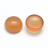 Natural Carnelian Cabochons G-P393-R41-10mm-2