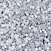 MIYUKI Delica Beads SEED-X0054-DB0670-3