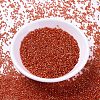 MIYUKI Delica Beads SEED-J020-DB2158-2