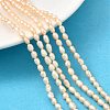 Natural Cultured Freshwater Pearl Beads Strands PEAR-I007-01L-03-1