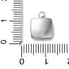304 Stainless Steel Acrylic Pendants LS-STAS-M091-02D-P-3
