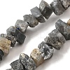 Natural Labradorite Beads Strands G-I283-F14-2