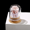 Bouquet Natural Quartz Crystal Chip Ornaments PW-WG90465-01-1