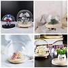 High Borosilicate Glass Cloche Globe Display Dome ODIS-F007-01B-4