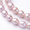 Natural Cultured Freshwater Pearl Beads Strands PEAR-Q003-7mm-01-1
